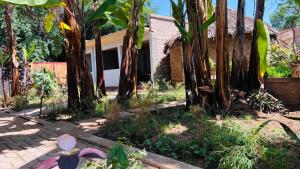 Ava garden backpackers