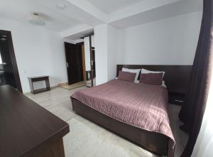 Pensiunea Public House