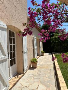 Villas Villa Hass : photos des chambres