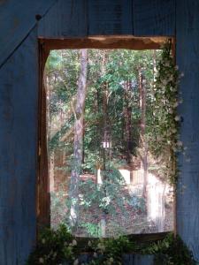 Mirabel - DreamsCanGrow