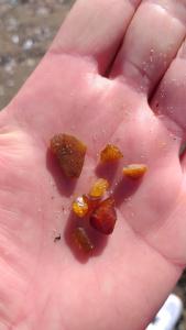 Przylądek Północy