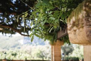 Hotels Domaine de Malet : photos des chambres