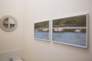 Appartements Le Penity, studio lumineux a Carnoet : photos des chambres
