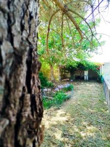 Cosy Home by lArche de Jo