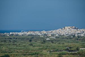 Aerides Villas Naxos Greece