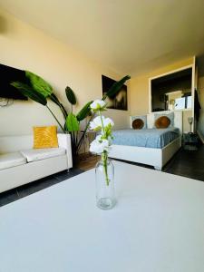 Naturiste Cap dAgde Héliopolis C 39