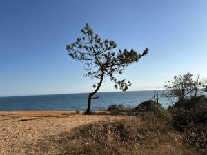 Vivenda Alfamar 2120 - 180m da praia