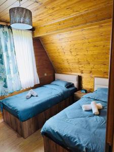 Mountain Shadow Cottage in Racha