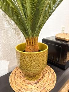 Appartements L'Alcove - Centre-ville - Moderne & Cosy - Commerces a Proximite : photos des chambres