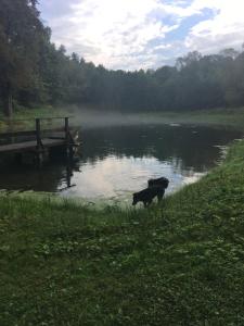 Polanka Agroturystyka i Konie