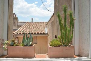 Appartements Large studio with terrace and air conditioning : photos des chambres