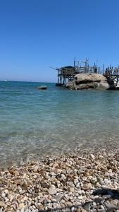 Guest house teresa il tuo appartamento in centro