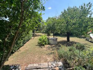 Maison tout confort avec piscine
