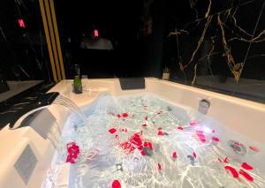 Appartements Sejour detente a Saint-Omer - jacuzzi prive, terrasse, centre-ville et parking gratuit : photos des chambres
