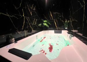 Appartements Sejour detente a Saint-Omer - jacuzzi prive, terrasse, centre-ville et parking gratuit : photos des chambres