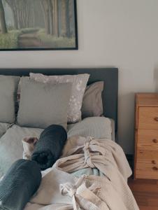 Spacious 3-room stay near Airport