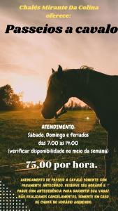 Chalé Mirante Da Colina 9, com hidromassagem privativa, café da manhã e piscina