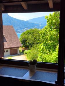 Appartements Vue lac magique cocon atypique et cosy : photos des chambres