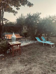 The land of the olive tree