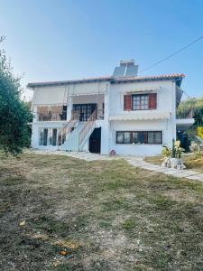 The land of the olive tree