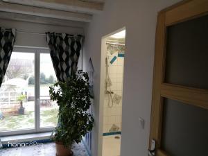 Maisons de vacances la cassignolette : photos des chambres