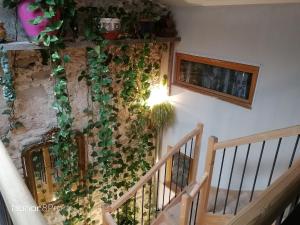 Maisons de vacances la cassignolette : photos des chambres