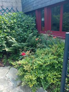 Maisons de vacances Maison Kaoz Korriganez : photos des chambres