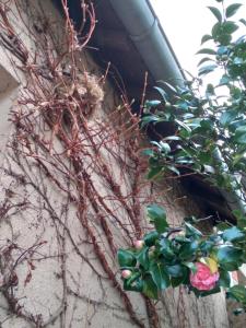 Maisons de vacances Maison Kaoz Korriganez : photos des chambres