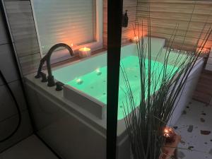 Jolie Maison avec Balnéothérapie