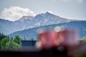 Apartamenty U Anki - 3-star hotels in Zakopane