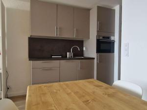 Studio cosy pour 4 pers à LAlpe dHuez, près des pistes, animaux bienvenus - FR-1-405-14