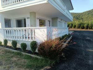 Olive Waves apartments