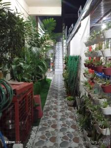 Paraynos Residence in Marikina 2