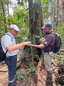 Birds rock villa Sinharaja - Ubytování bez kategorie ve městě Deniyaya