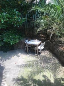 Centralissima Collegatissima