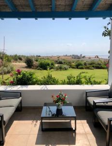 Eliza & Mikes Villas Paros