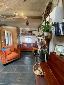 Charming Music Shop -Town Centre