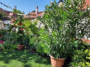 Apartment Siofok, Lake Balaton 6