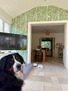 Luxury home in Oranmore