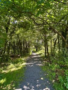 Luxury home in Oranmore