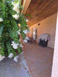 Maisons de vacances Family villa in Salles-d-Aude : photos des chambres