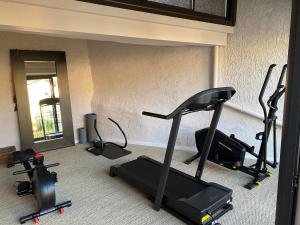 La pépite du Ventoux, petite piscine et salle de sport !