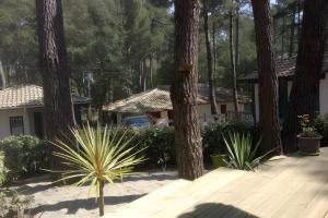 Maisons de vacances Maison, Piscine sous les pins : photos des chambres