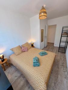 Appartements Appartement Rouen centre proche CHU : photos des chambres