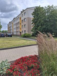 Cozy City Centre Studio Apartment