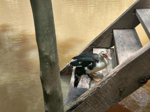 El Domo y La Petaca Delta del Tigre