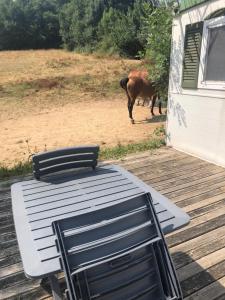 Appartements Mobil home : photos des chambres
