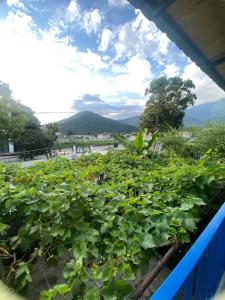 Mountain breeze