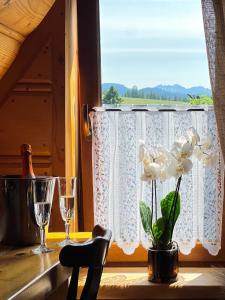Pensjonat Dzianiszówka - Basen Jacuzzi Sauna