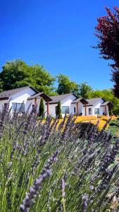 Комплекс відпочинку "Садиба БЕРЕЗИНО"